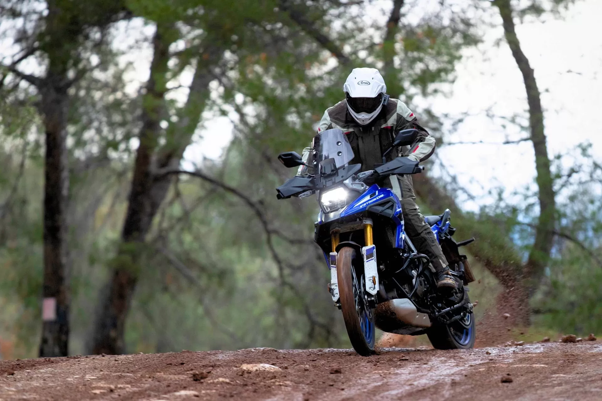 Suzuki V-Strom1050DE Offroad Action