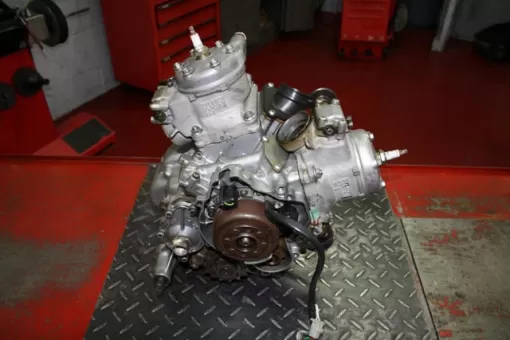 tzb8.jpg