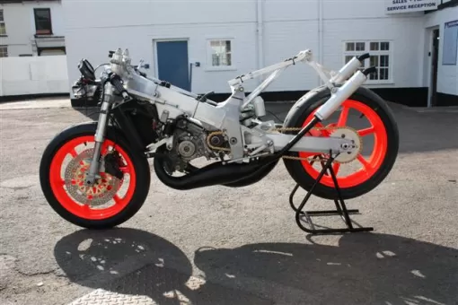 rs2509215.jpg