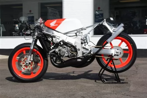 rs2509216.jpg