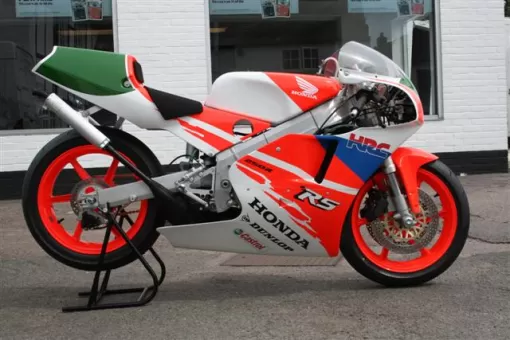 rs2509222.jpg