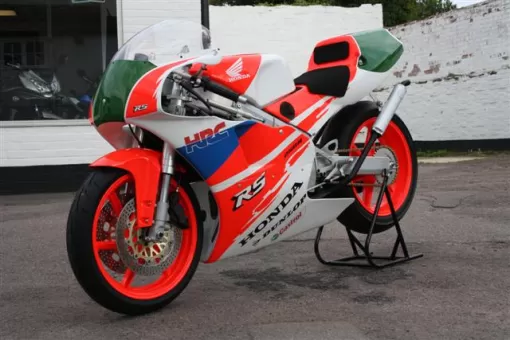 rs2509226.jpg
