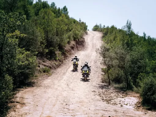 new-vstrom800de-action-1-3ja7g0gdu5.jpg