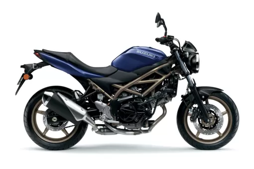 suzuki-hayabusa-new-colour-2022-5-7xqsmr5bjt.jpg