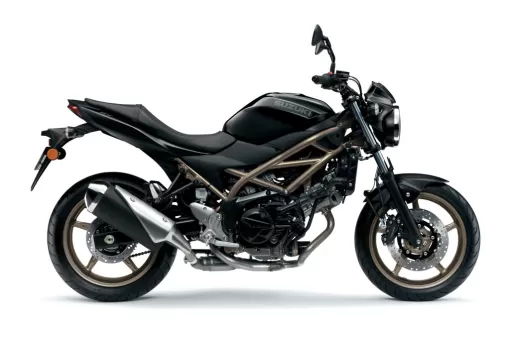 suzuki-hayabusa-new-colour-2022-9-yjus6wd29a.jpg