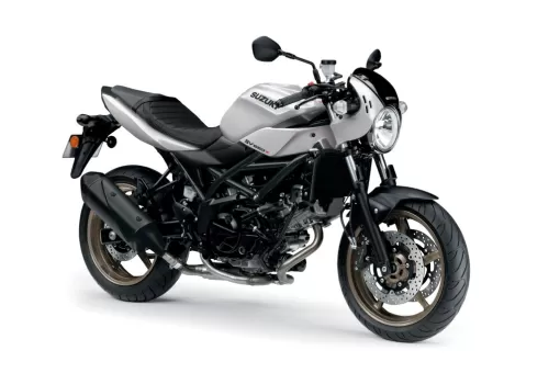 suzuki-hayabusa-new-colour-2022-8-0slrqvzyxp.jpg