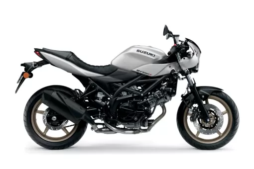 suzuki-hayabusa-new-colour-2022-6-naohlivteg.jpg