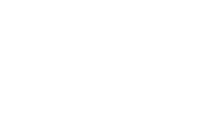 Suzuki Bikes